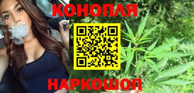 прущие крисы Кимры