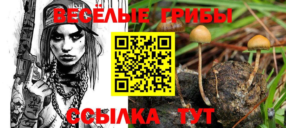 Нарьян-Мар  Галлюциногенные грибы Psilocybine cubensis  Вход с VPN 