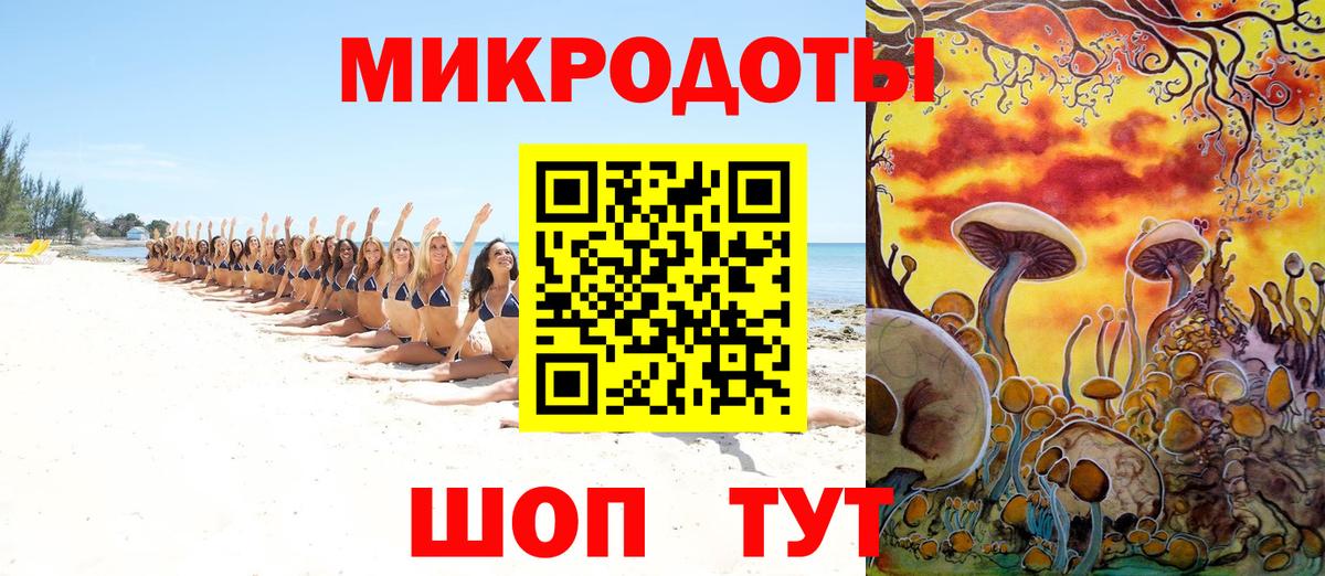 Псилоцибиновые грибы Cubensis Нарьян-Мар